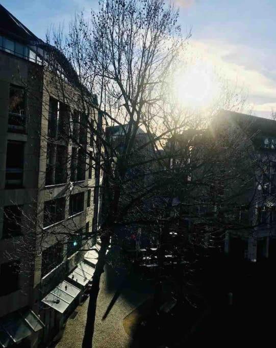 Charmantes 1Zi Apartment Im Herzen Von Braunschweig Mit Balkon Bagian luar foto